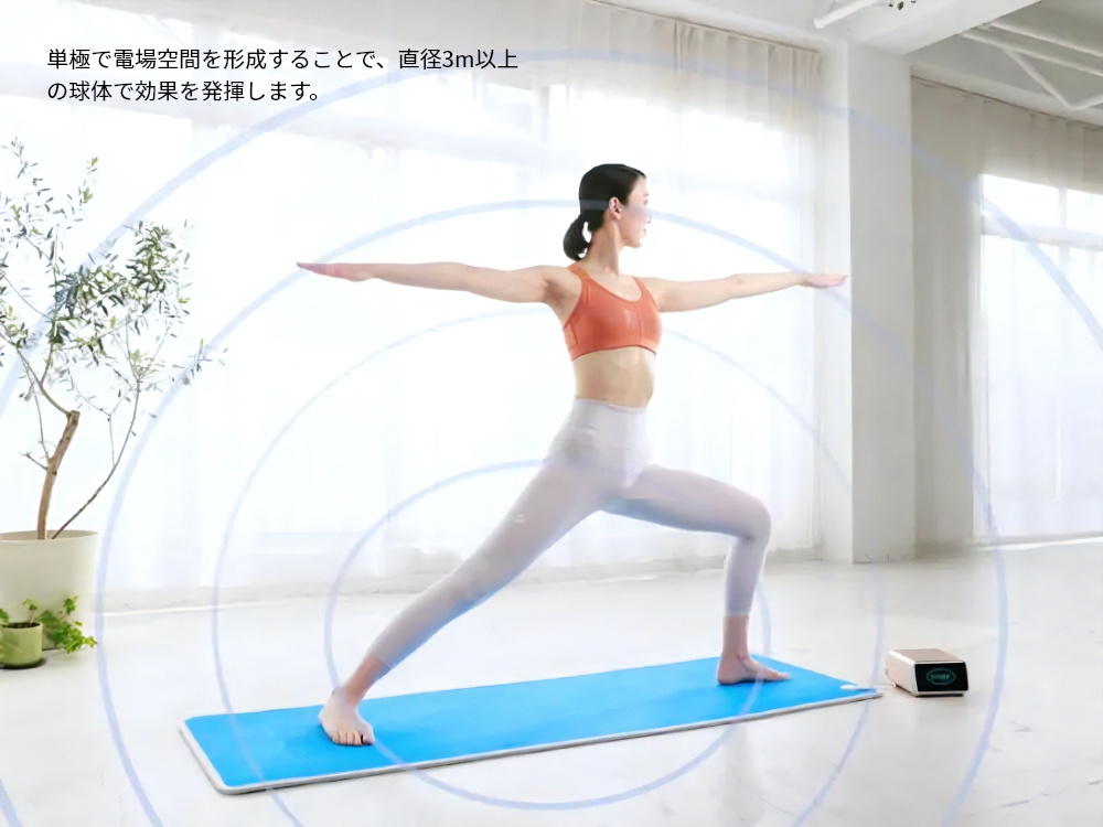 單極電場技術示意圖