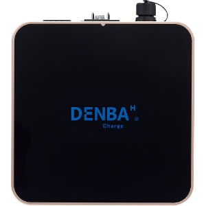 DENBA Health Charge