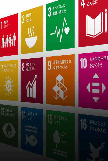 SUSTAINABILITY